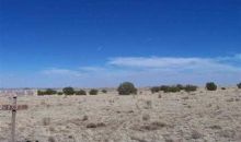 Lot 20 Buckskin Lane Concho, AZ 85924