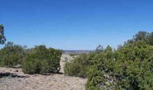 Lot 36 Indian Drive Concho, AZ 85924