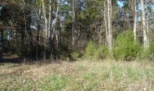 Lot 13 Echo Valley Auburn, KY 42206