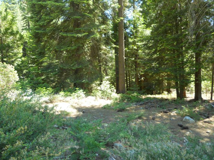 40541 Wild Rose Ln, Shaver Lake, CA 93664