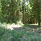 40541 Wild Rose Ln, Shaver Lake, CA 93664 ID:1968294