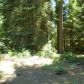 40541 Wild Rose Ln, Shaver Lake, CA 93664 ID:1968295