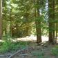 40541 Wild Rose Ln, Shaver Lake, CA 93664 ID:1968296