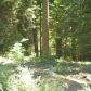 40541 Wild Rose Ln, Shaver Lake, CA 93664 ID:1968297