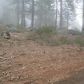 42159 Rush Creek Lane, Shaver Lake, CA 93664 ID:1968300