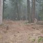 42159 Rush Creek Lane, Shaver Lake, CA 93664 ID:1968302