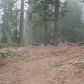 42159 Rush Creek Lane, Shaver Lake, CA 93664 ID:1968303