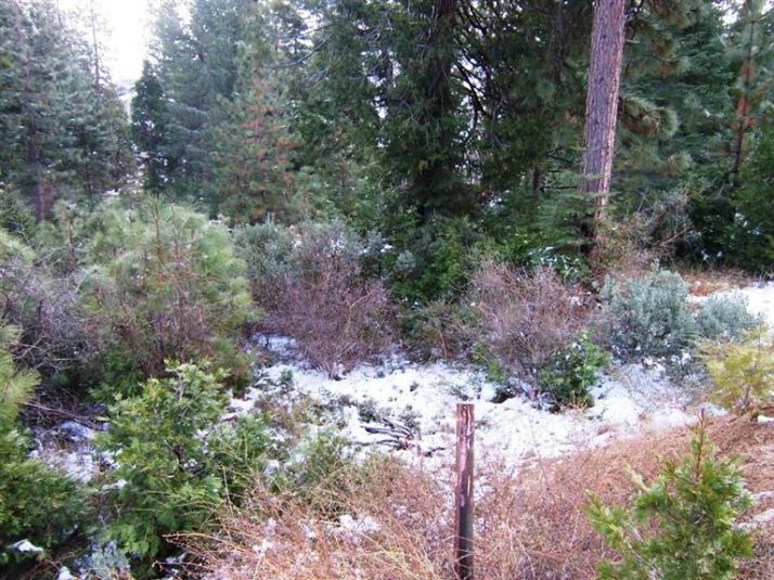 Wildflower Village Phase IV, Lot 3, Shaver Lake, CA 93664