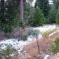 Wildflower Village Phase IV, Lot 3, Shaver Lake, CA 93664 ID:1968299