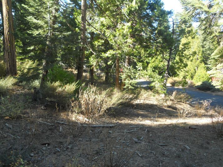 Timber Ridge #19, Shaver Lake, CA 93664