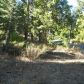 Timber Ridge #19, Shaver Lake, CA 93664 ID:1968305