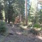 Timber Ridge #19, Shaver Lake, CA 93664 ID:1968307