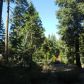 Timber Ridge #19, Shaver Lake, CA 93664 ID:1968308