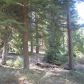 Timber Ridge #19, Shaver Lake, CA 93664 ID:1968309