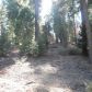 Timber Ridge #19, Shaver Lake, CA 93664 ID:1968310