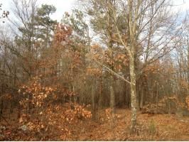 40 Acres Ridgewood, Harrisburg, AR 72432