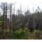 0 County Road 1223, Vinemont, AL 35179 ID:6017539