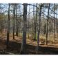 4194 Ellison Farm Road, Braselton, GA 30517 ID:3268695