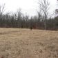 8462 Hwy 163N, Harrisburg, AR 72432 ID:1171771