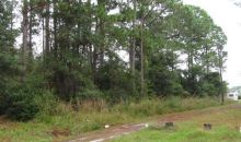 00 Hayes Avenue Lot 12 Crescent City, FL 32112