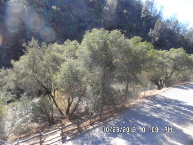 11202 Bull Creek Rd, Mariposa, CA 95338