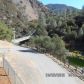 11202 Bull Creek Rd, Mariposa, CA 95338 ID:3818916