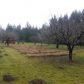 506 S Goble Creek Road, Kelso, WA 98626 ID:6046004