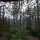 0 Morningstar Lane, Dahlonega, GA 30533 ID:3365744