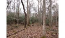 0 Grassy Knoll Blairsville, GA 30512