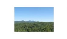 4 Moon Ridge Blairsville, GA 30512