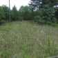 11894 Old Pike Road, Mathews, AL 36052 ID:4189054