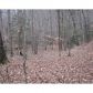 10 Dry Hollow Road, Dahlonega, GA 30533 ID:5728854