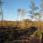 River Road 56.5 acres, Valley, AL 36854 ID:1535832