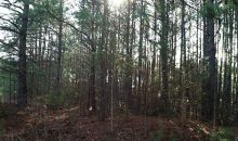 0 Leola Rd Tract 1 Douglasville, GA 30135