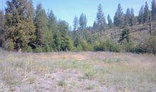 Choctaw Lane Lot 4 Blanchard, ID 83804