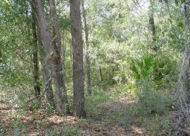 171 Oak Run Rd, Crescent City, FL 32112