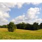 0 County Rd 1225, Vinemont, AL 35179 ID:1967647