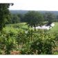 3 Strada Del Vino, Dahlonega, GA 30533 ID:2998449