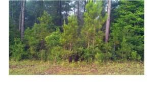 Lot 36 Wilkins Creek Ct, Spanish Fort, AL 36527