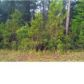 Lot 36 Wilkins Creek Ct, Spanish Fort, AL 36527 ID:1076188