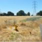 0 Oro Garden Ranch Rd., Oroville, CA 95966 ID:1139178