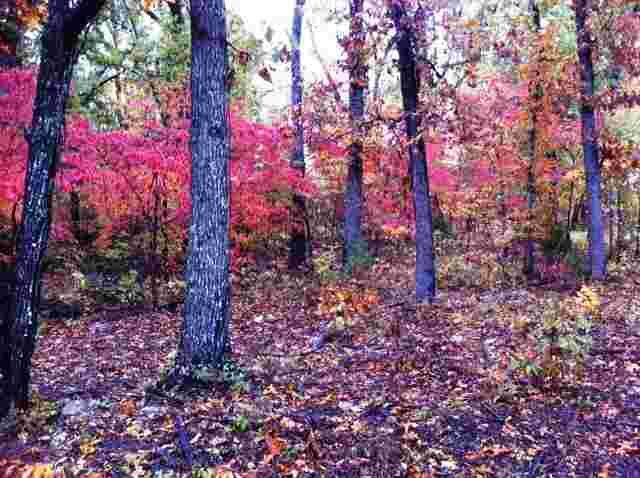 Lot 13 Lexington Drive Dr, Mountain Home, AR 72653