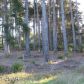 31523 Highway 20, Fort Bragg, CA 95437 ID:3595839