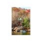 2066 Shady Falls Road, Blue Ridge, GA 30513 ID:6139793