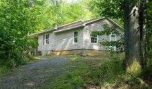 690 Red Dog Ln Whittier, NC 28789