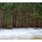 305 Downing Creek Trail, Canton, GA 30114 ID:5789239