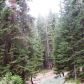 Dinkey Creek Road - 133-240-18, Shaver Lake, CA 93664 ID:1968320