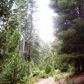 Dinkey Creek Road - 133-240-18, Shaver Lake, CA 93664 ID:1968322