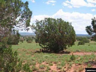 TBD Cty Rd 5270, Concho, AZ 85924