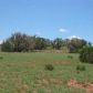 TBD Cty Rd 5270, Concho, AZ 85924 ID:3229656